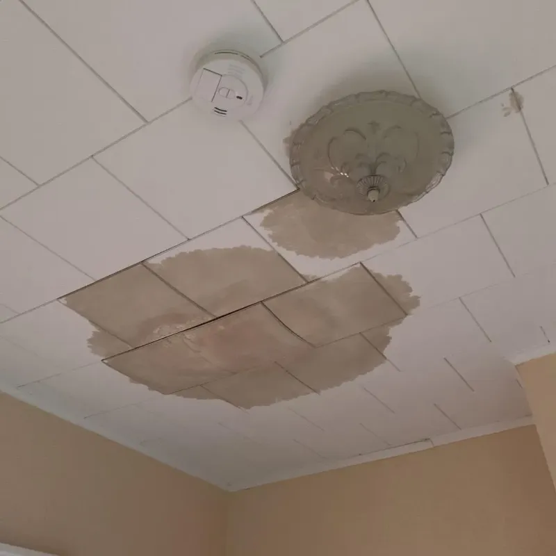 Ceiling Water Damage Repair in Hallam, PA