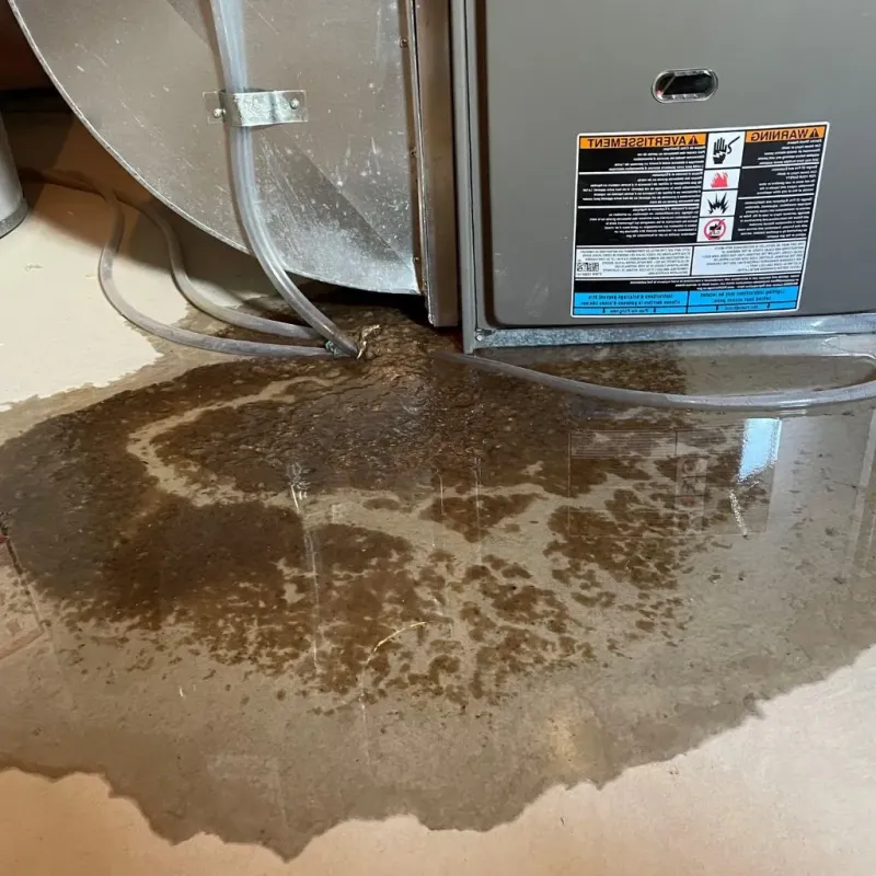 Pipe Burst and Leak Restoration in Hallam, PA